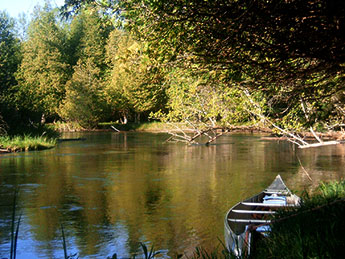 Manistee River Paddlesports